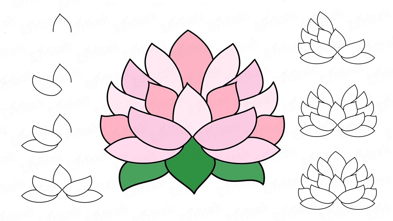 Учимся пошагово рисовать цветок лотоса (+ раскраска)