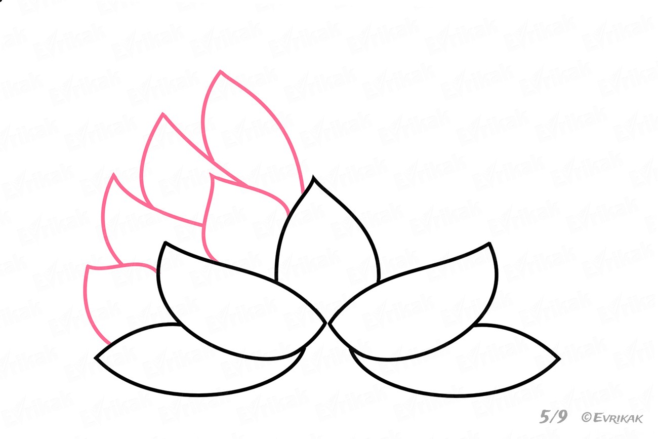kak-narisovat-cvetok-lotosa-evrikak-ru-5
