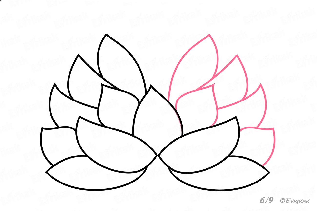 kak-narisovat-cvetok-lotosa-evrikak-ru-6