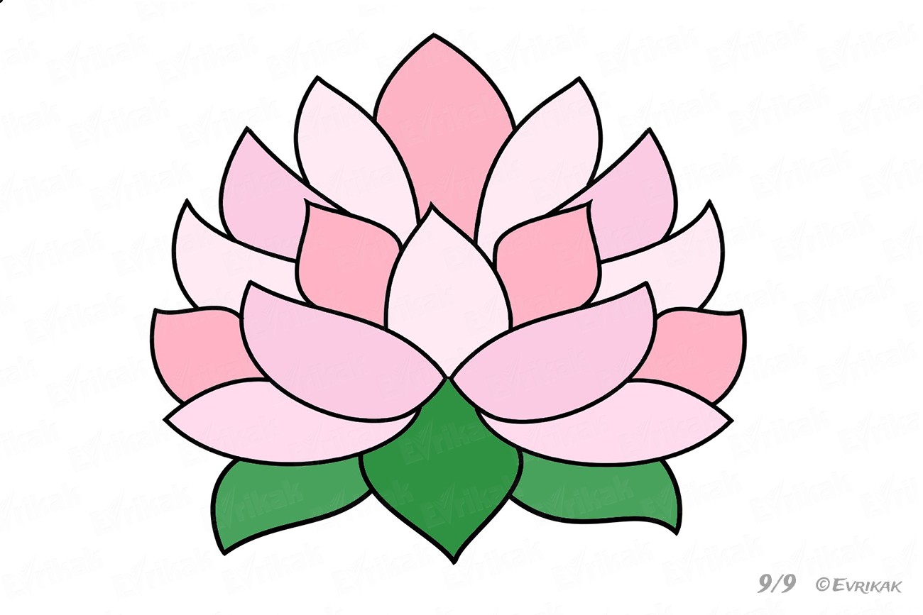 kak-narisovat-cvetok-lotosa-evrikak-ru-9-