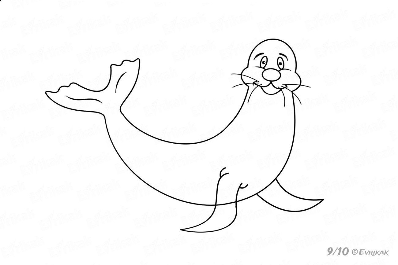 Как нарисовать тюленя шаг за шагом