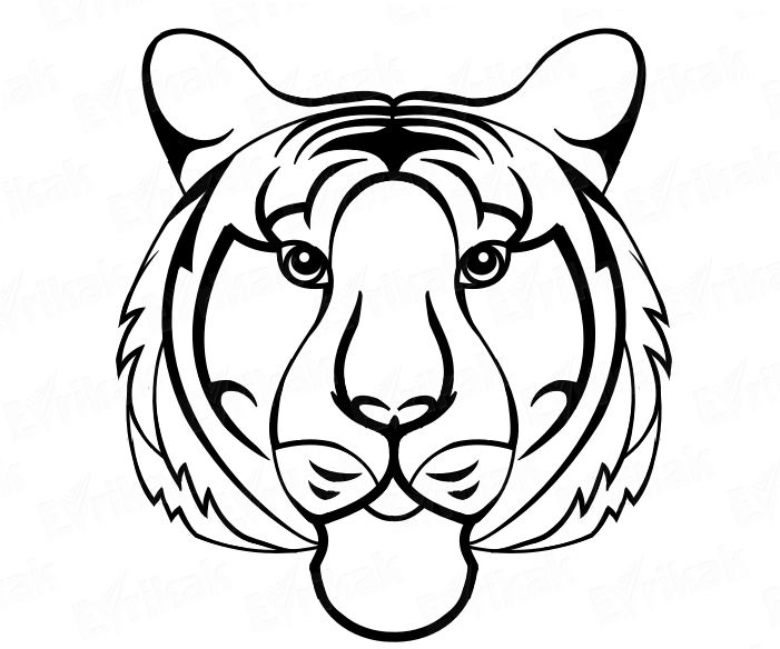 Раскраска «Голова тигра»
