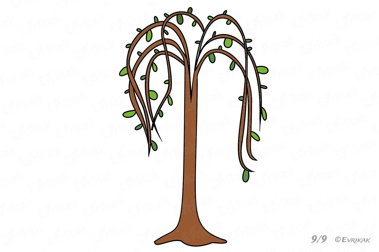 Как нарисовать дерево иву