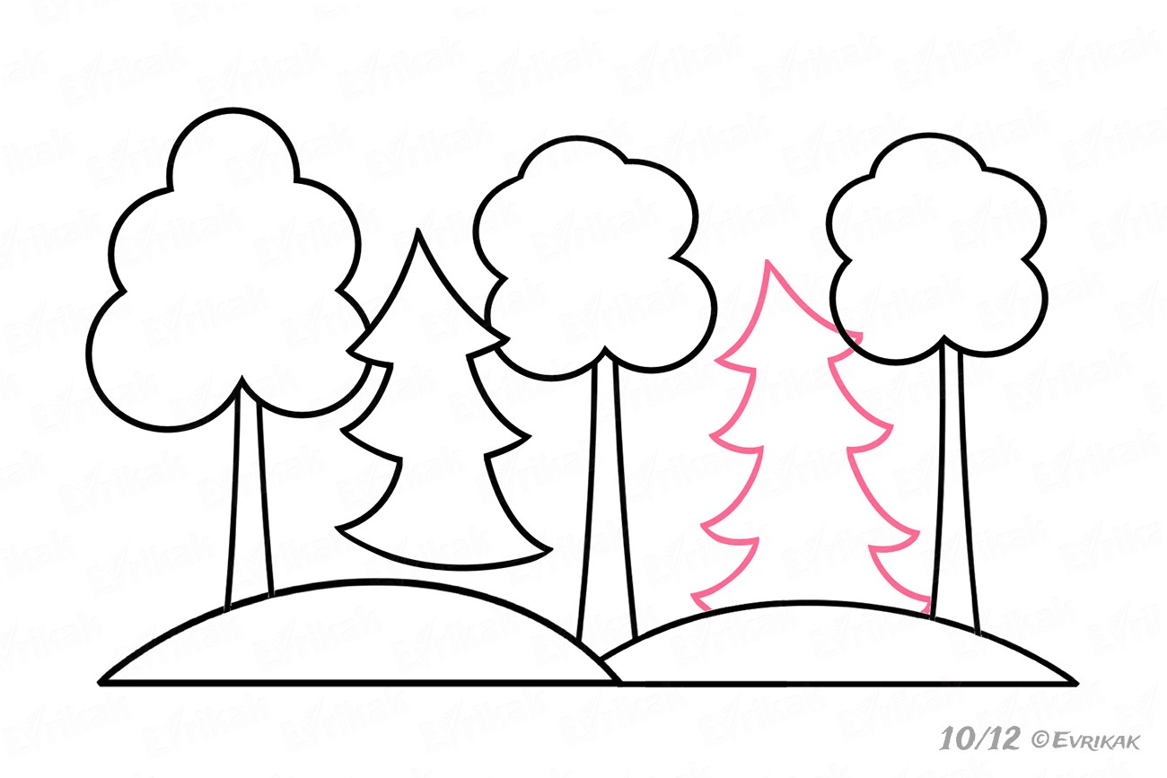 Как нарисовать деревья в лесу