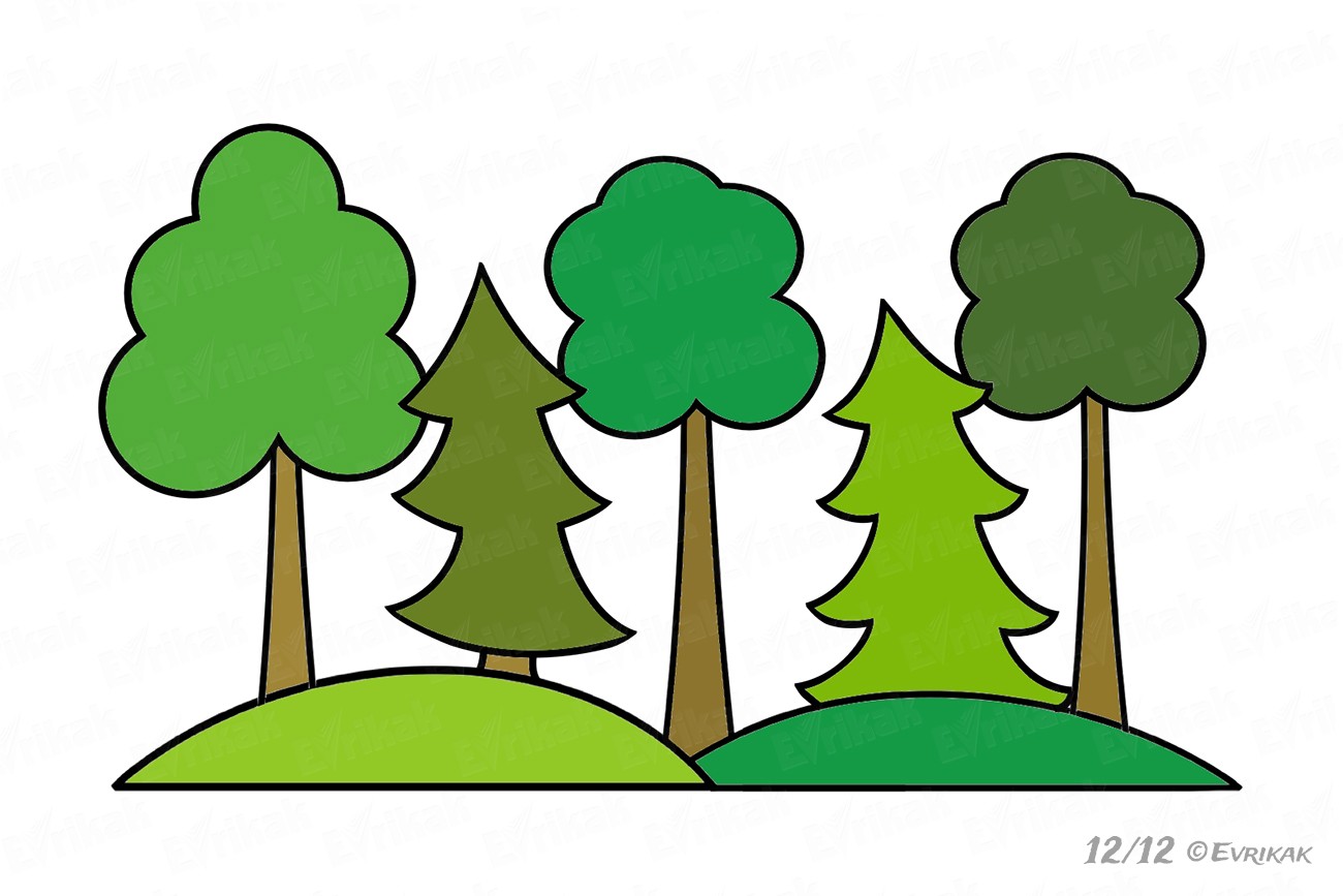 Как нарисовать деревья в лесу