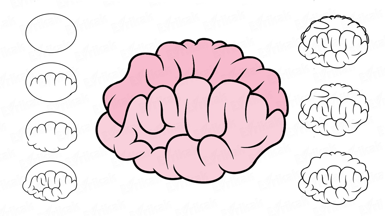 Учимся поэтапно рисовать мультяшный мозг человека (+ раскраска)