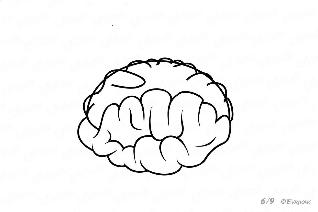Как нарисовать человеческий мозг