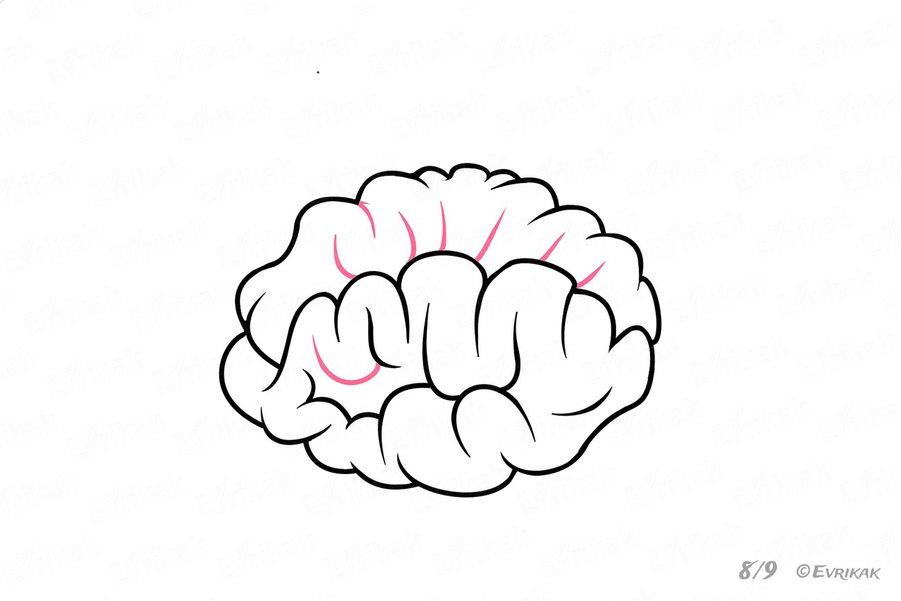 Как нарисовать человеческий мозг