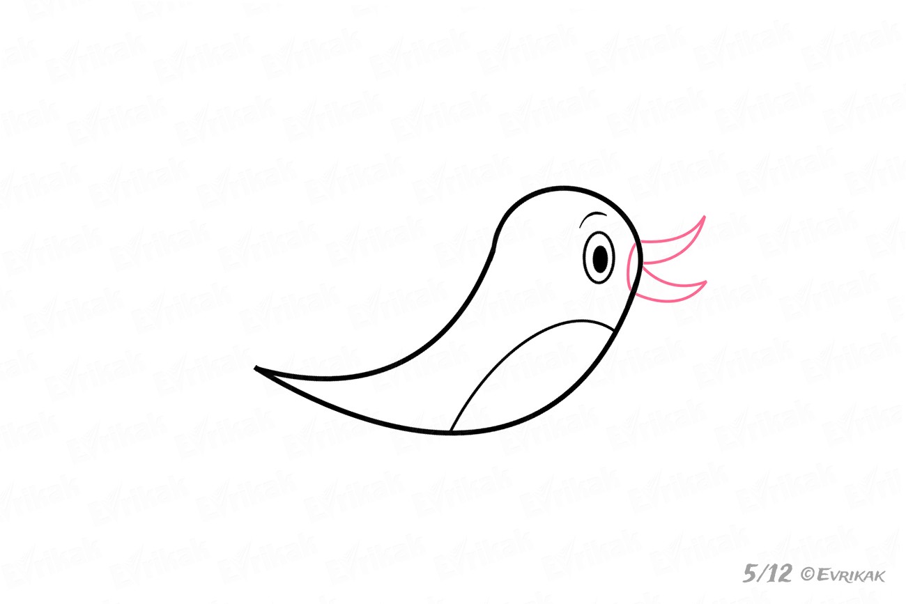 Как нарисовать птичку шилоклювку