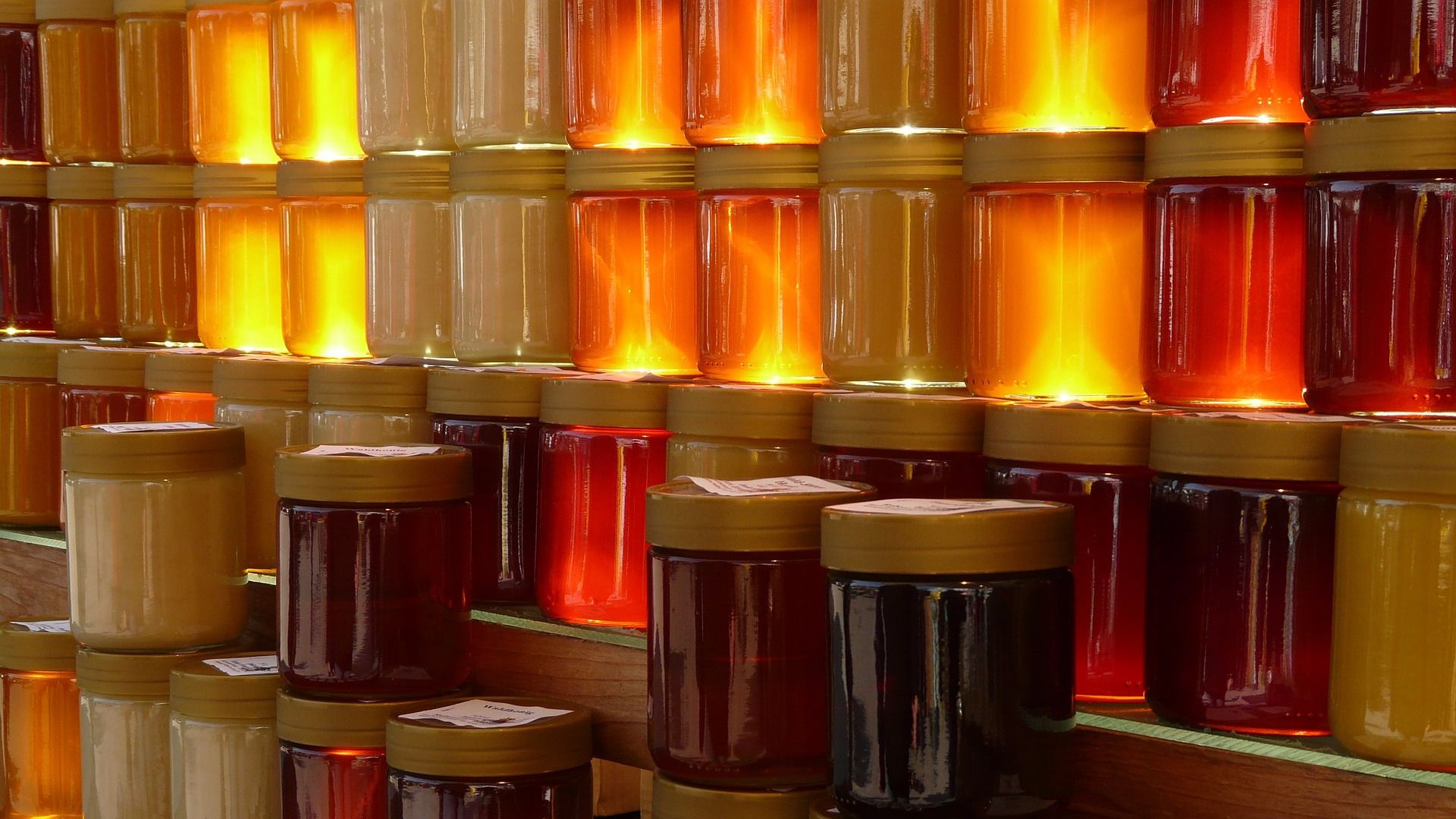 Настойка трепанга на меду от болезней и старости