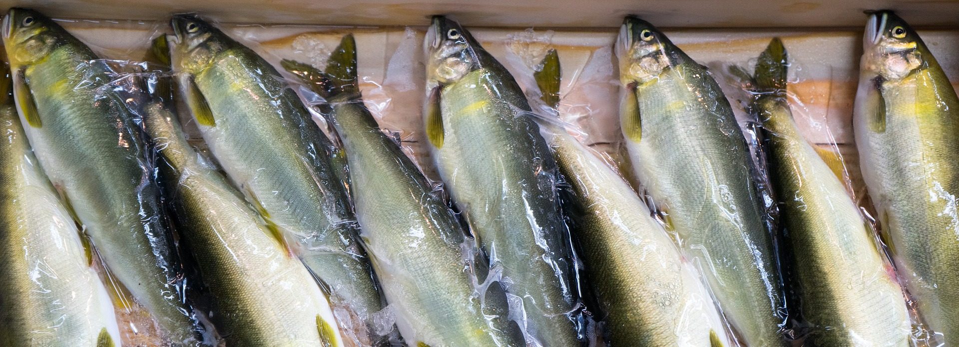 otravlenie ryboj i moreproduktami