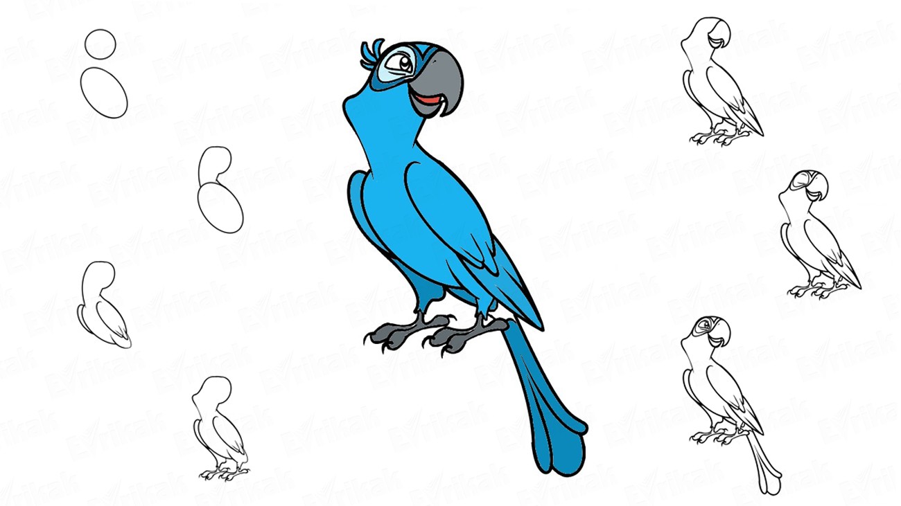 Как нарисовать Голубчика из мультика «Рио» (+ раскраска)