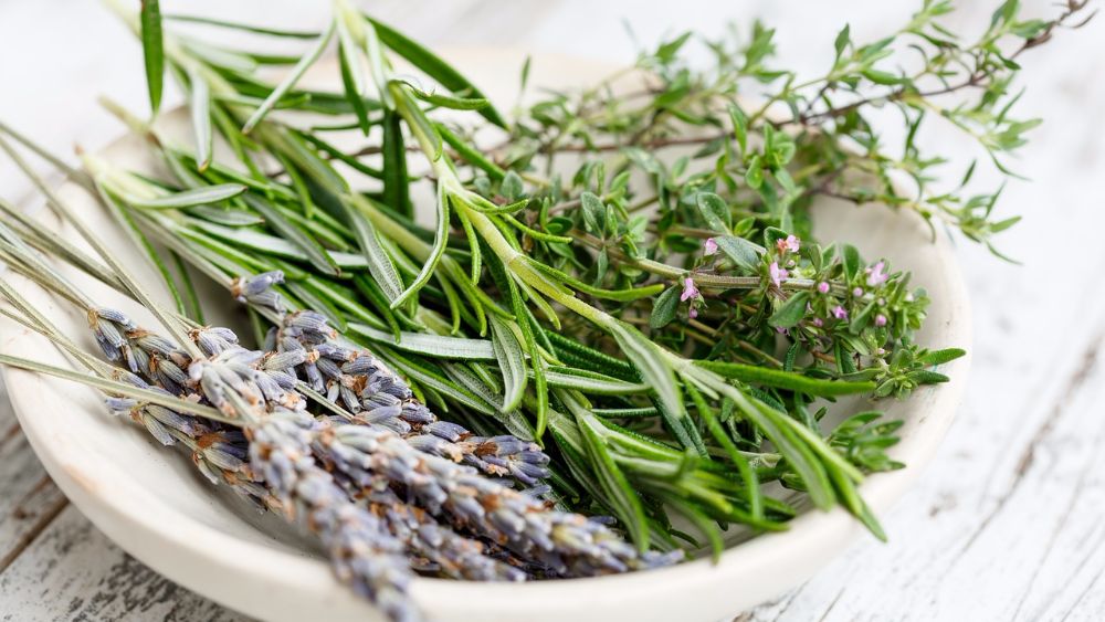 Лечение бесплодия травами: 15 лучших народных рецептов