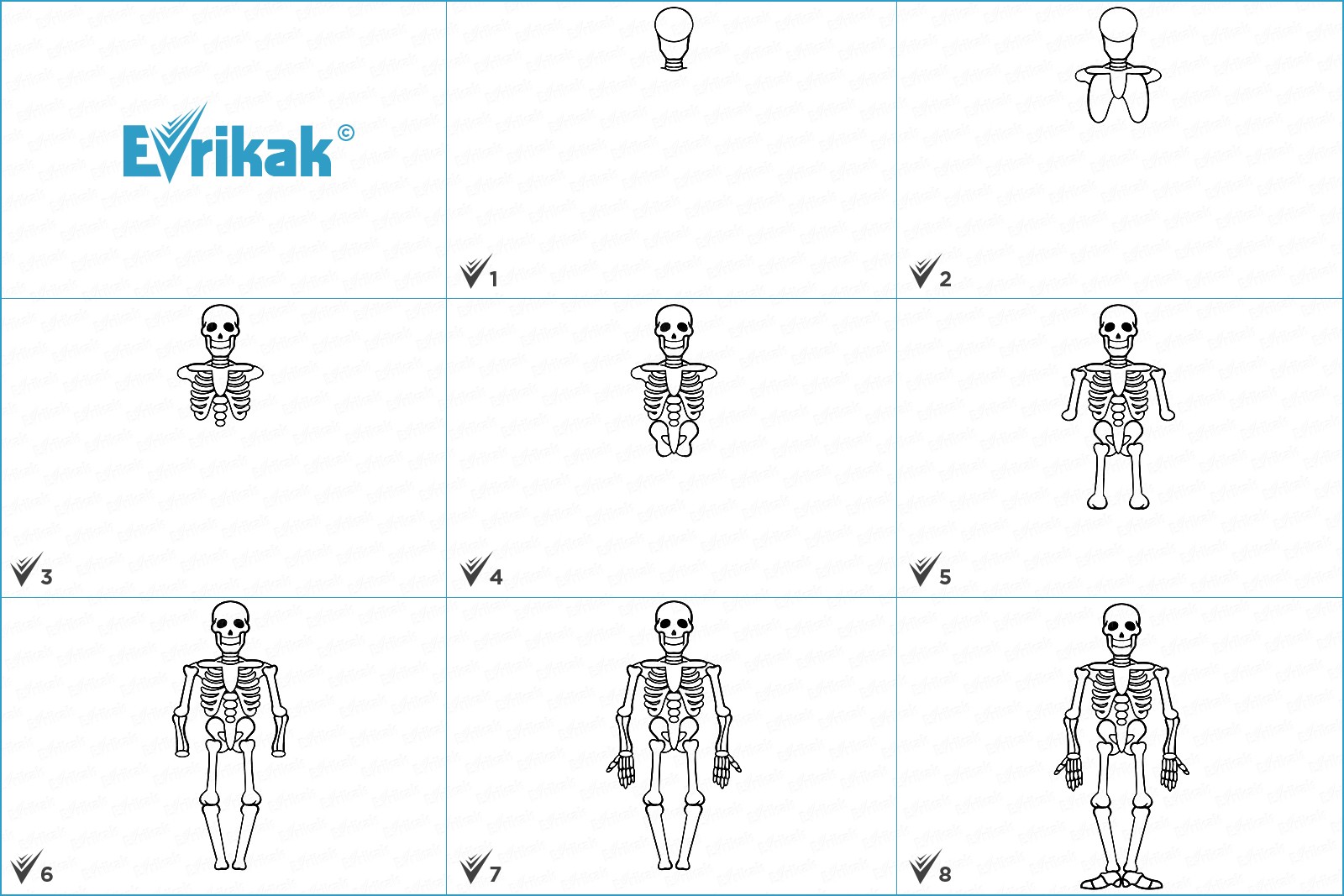 Коллаж с этапами рисования человеческого скелета