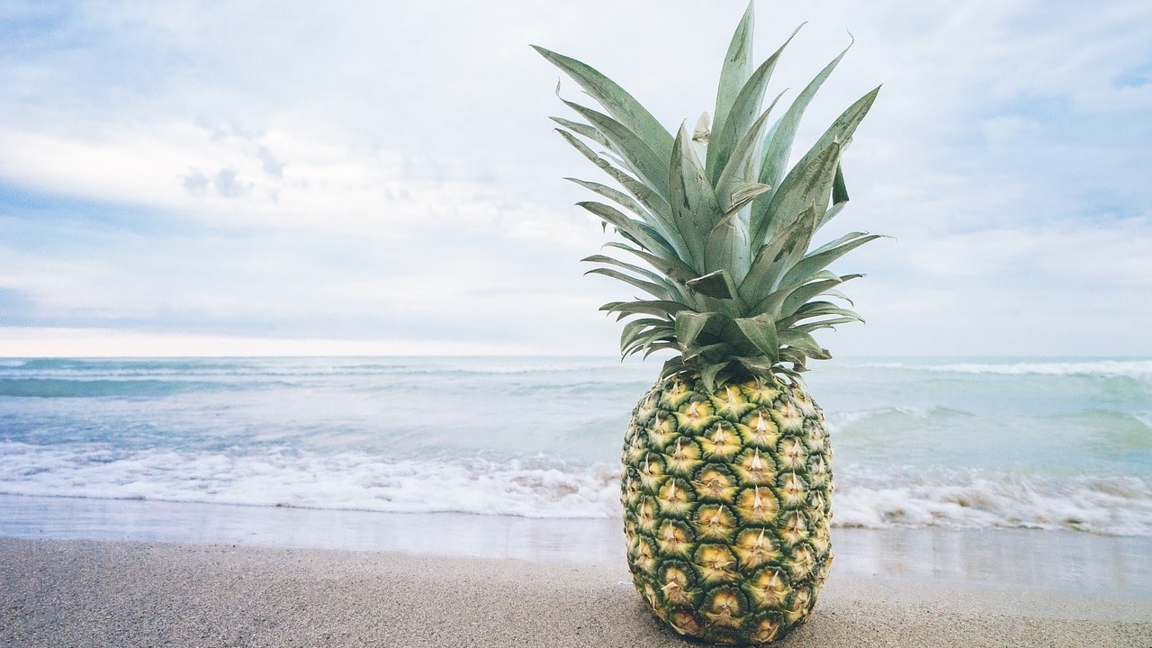 6 правил, как определить спелость ананаса при покупке и подольше сохранить свежесть