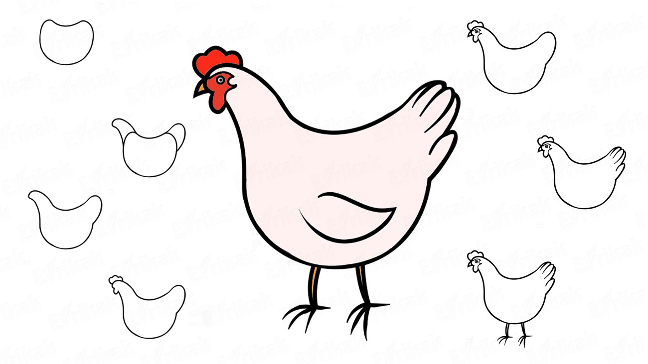 Учимся поэтапно рисовать курицу для детей (+ раскраска)