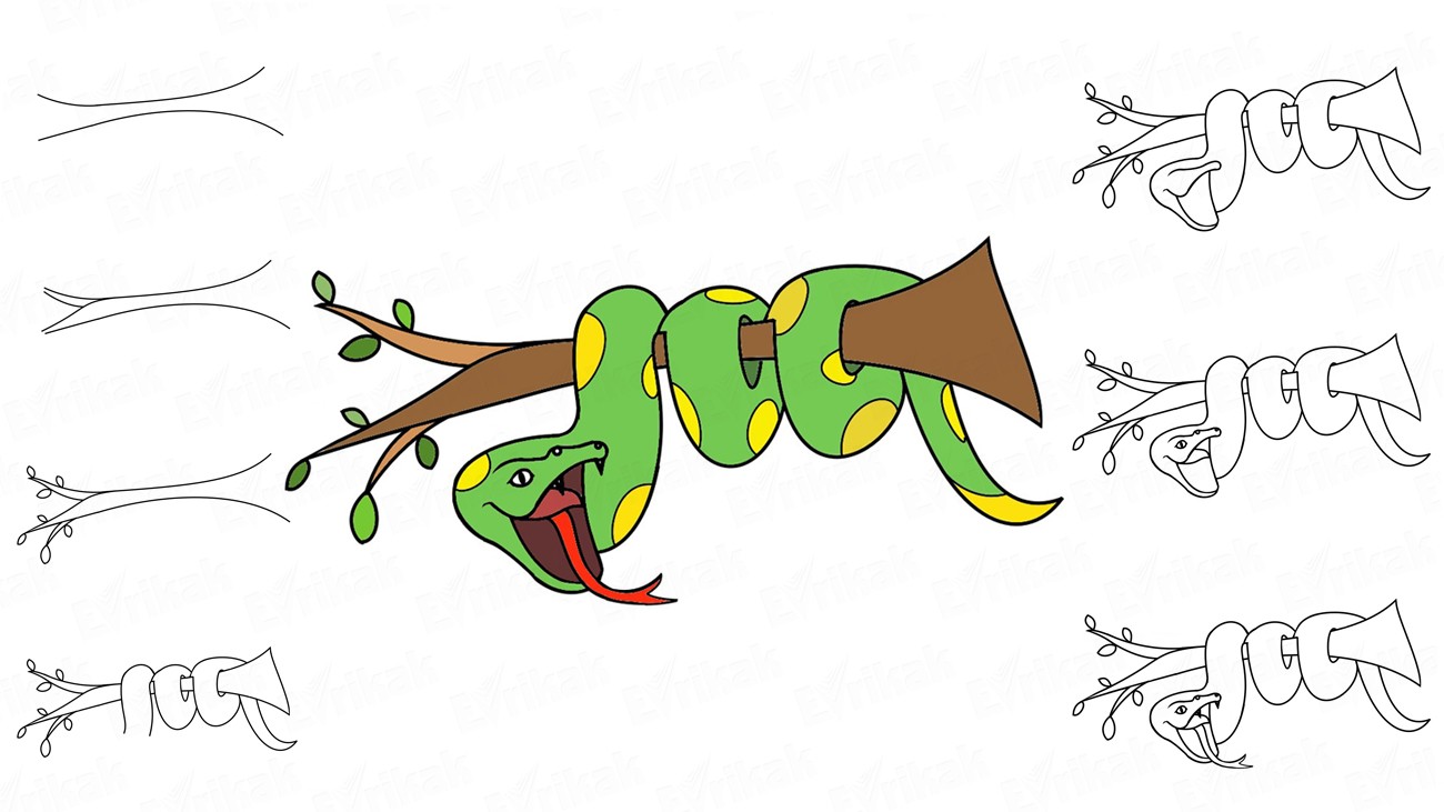 Учимся рисовать мультяшную змею на дереве (+ раскраска)
