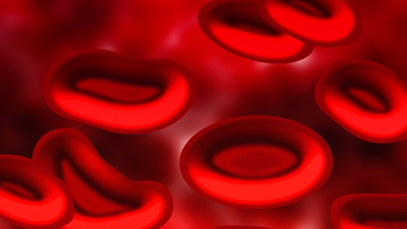 Как почистить лимфу крови в домашних условиях