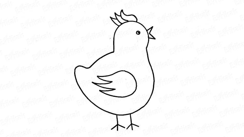 Как поэтапно нарисовать цыпленка карандашом