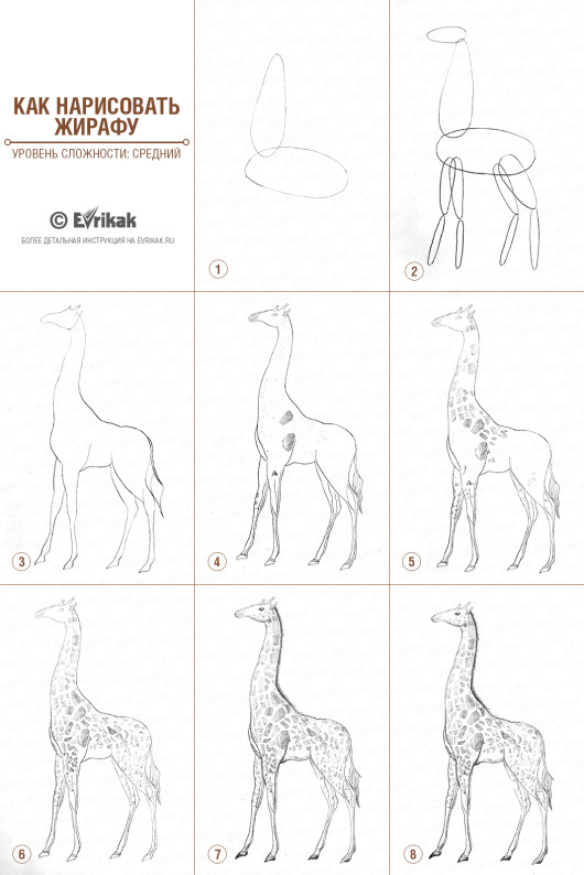 как нарисовать жирафа