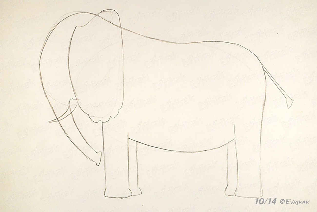 Пошаговое рисование слона по горизонтали