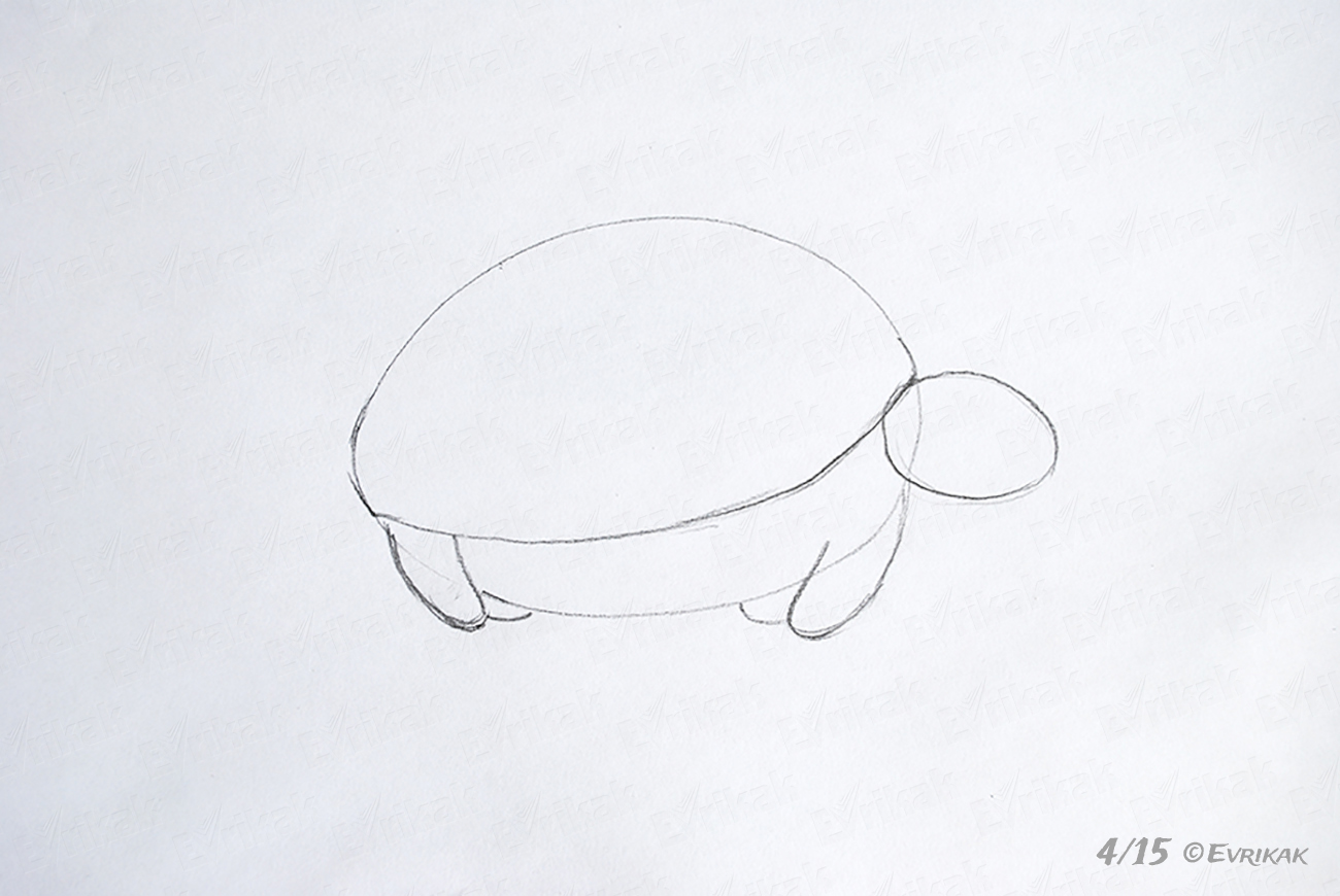 Рисунок черепахи для детей карандашом поэтапно легко