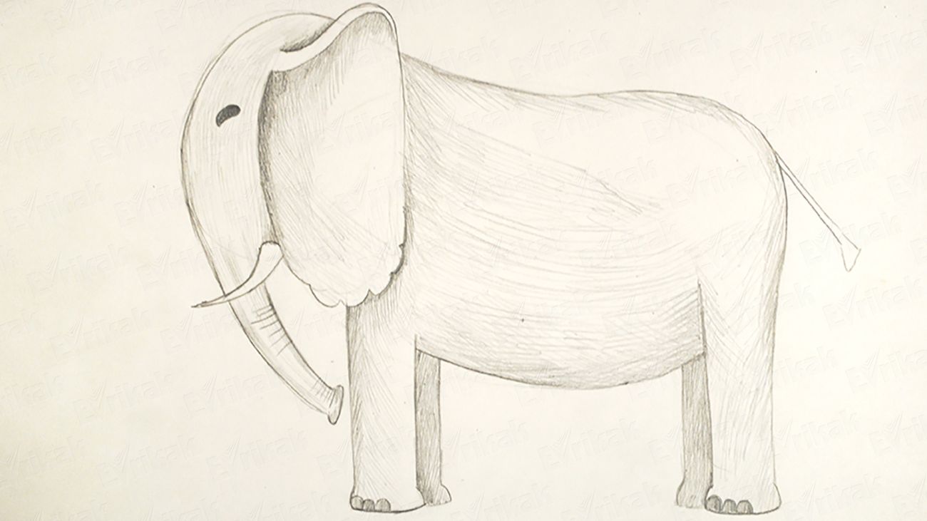 Как поэтапно нарисовать слона карандашом
