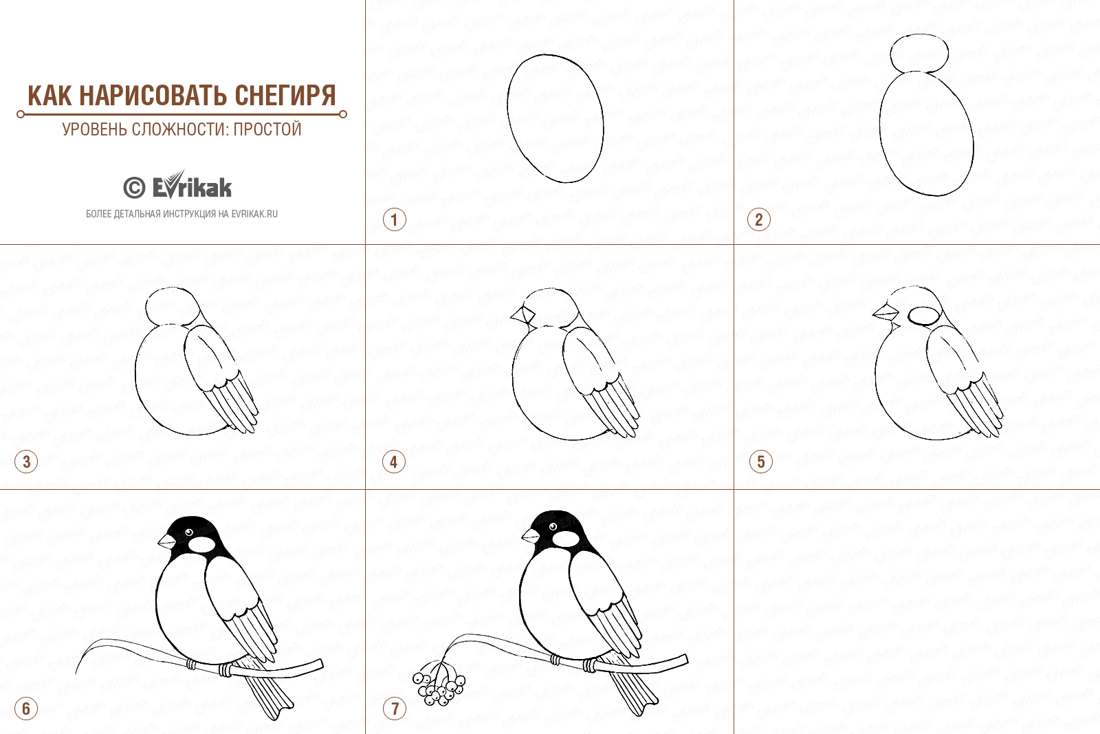 Зимующие птицы поэтапное рисование для детей