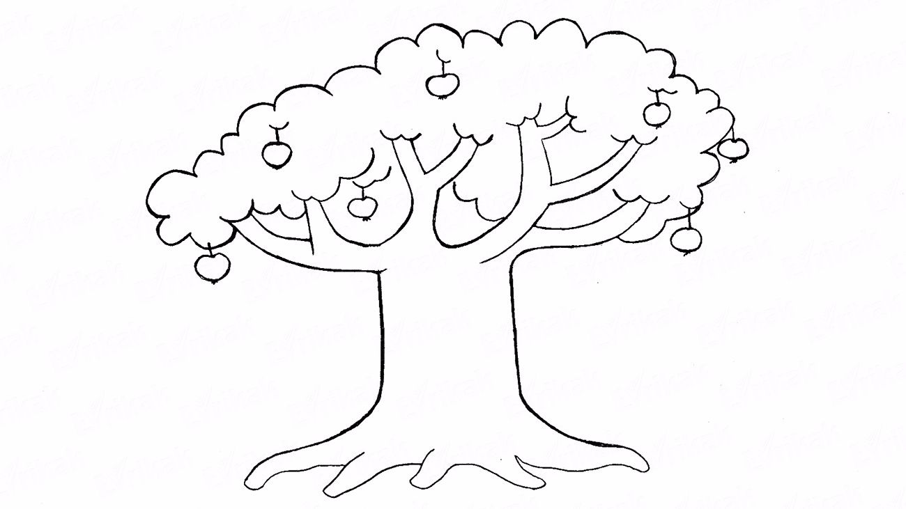 Как карандашом нарисовать дерево с яблоками