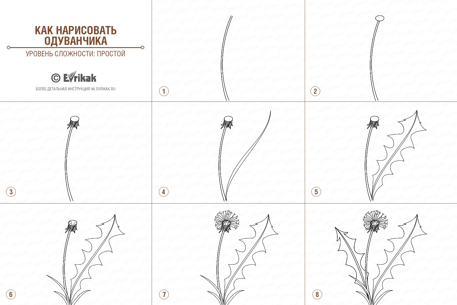 Как рисовать одуванчик поэтапно