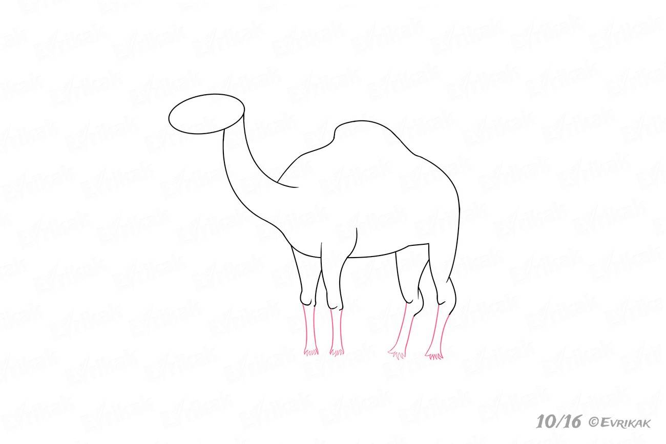 Верблюд Пальма пошаговый рисунок
