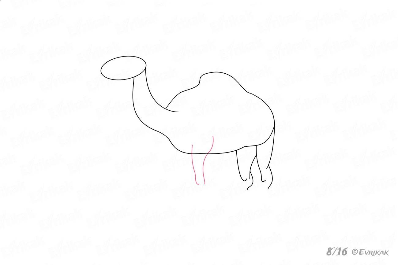 Дорисовать животное верблюд