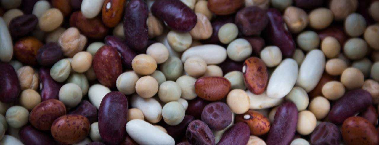 dried-beans-763158_1280