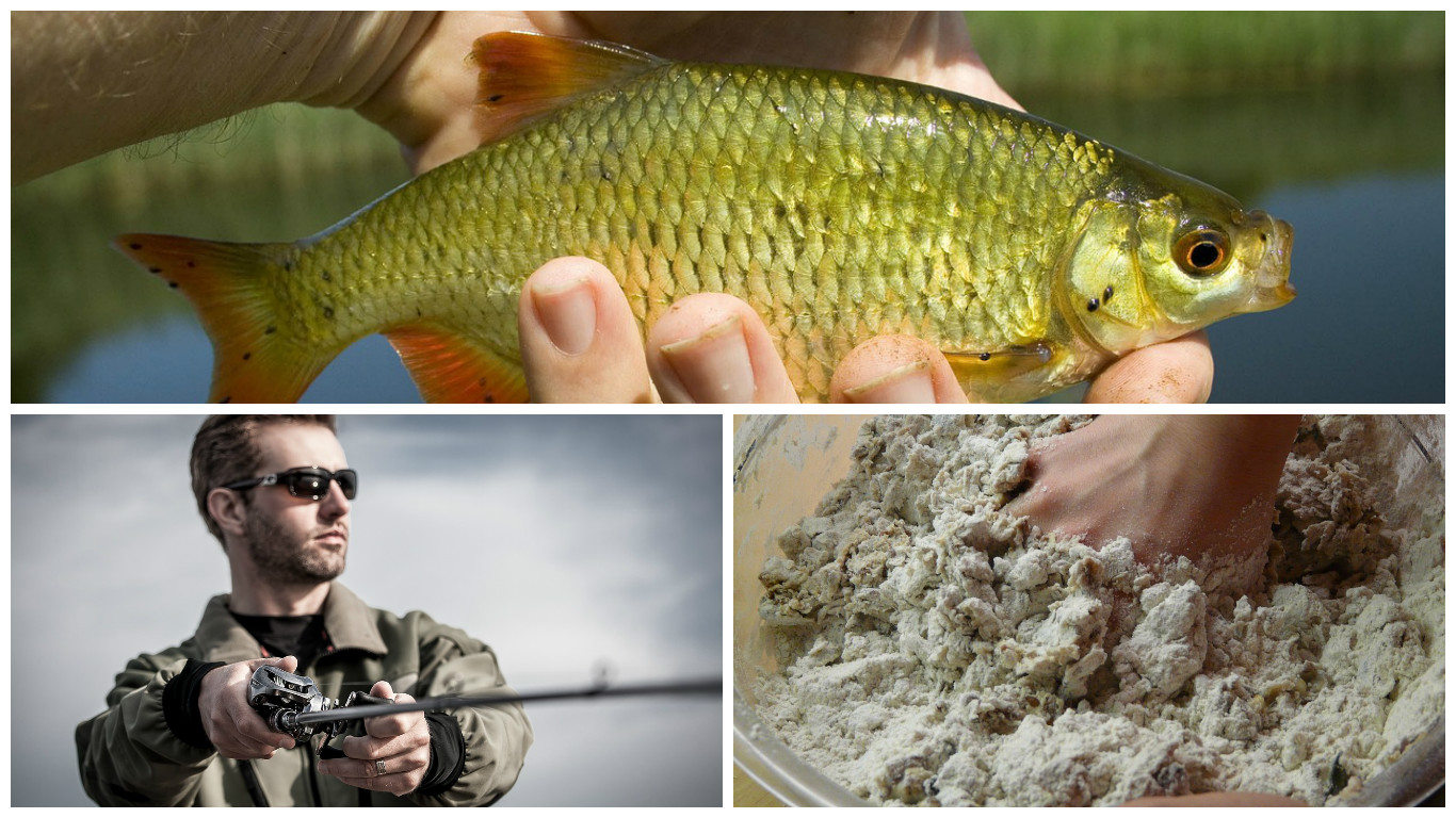 Как приготовить манку для рыбалки: 5 рецептов