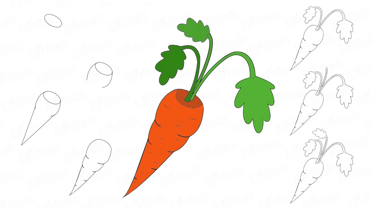 Как пошагово рисовать морковь