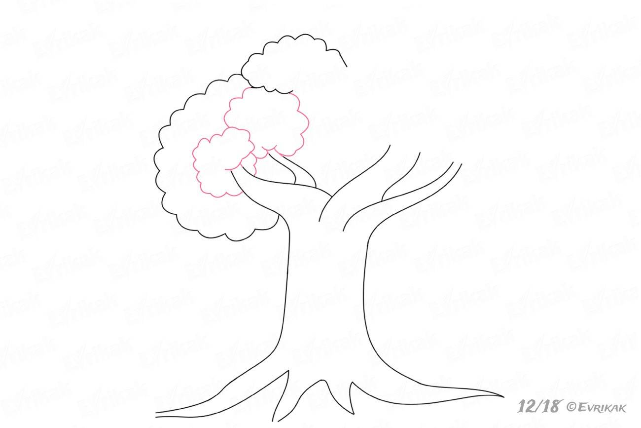 Крона дерева рисунок карандашом