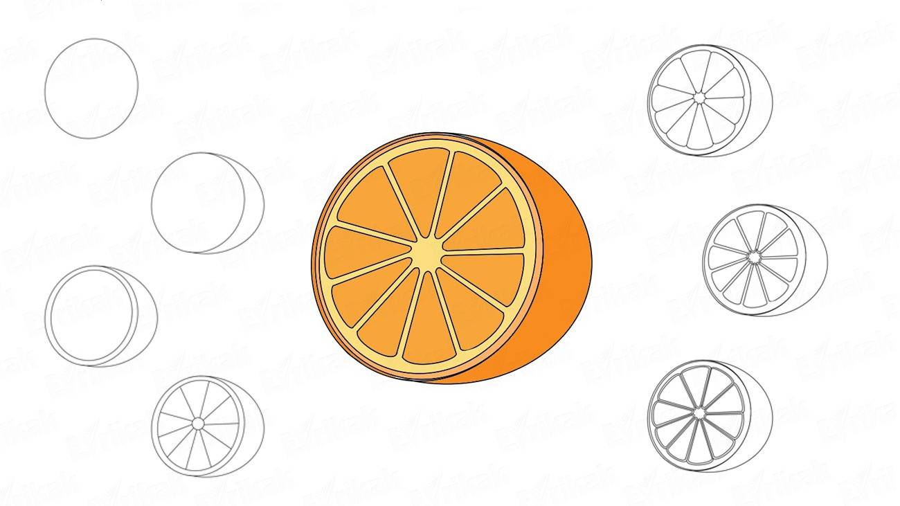 Как нарисовать апельсин в разрезе