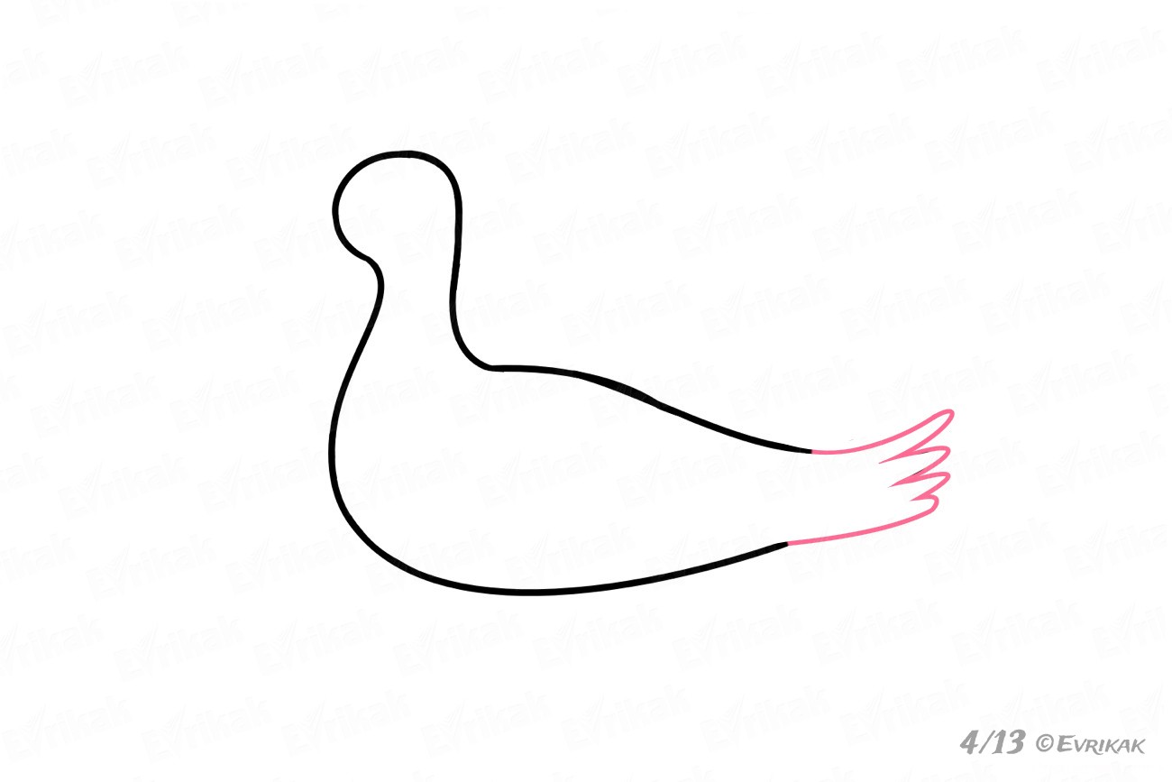 Рисуем чайку поэтапно для детей