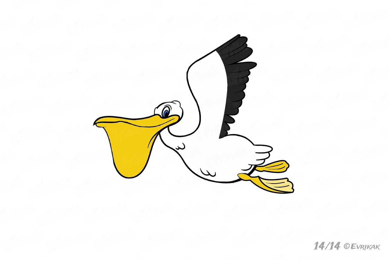 Как нарисовать пеликана