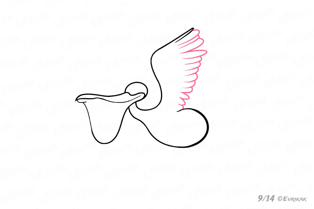 Пеликан нарисовать легко