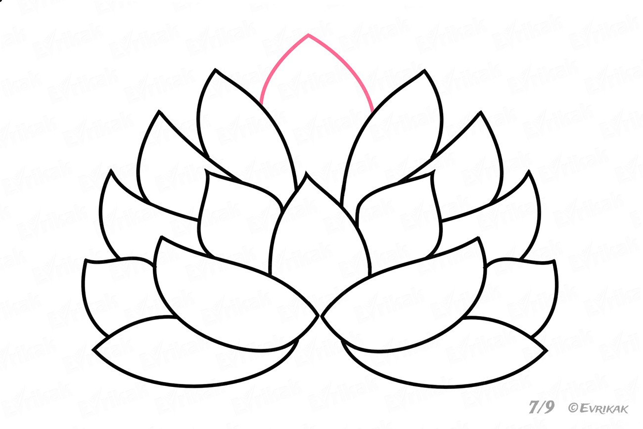 kak-narisovat-cvetok-lotosa-evrikak-ru-7