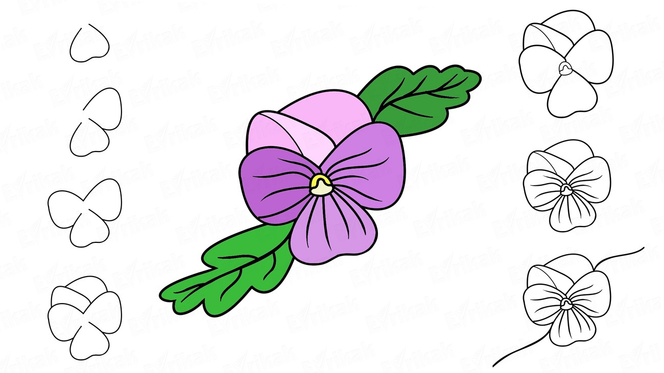 Учимся пошагово рисовать цветок фиалку детям (+ раскраска)