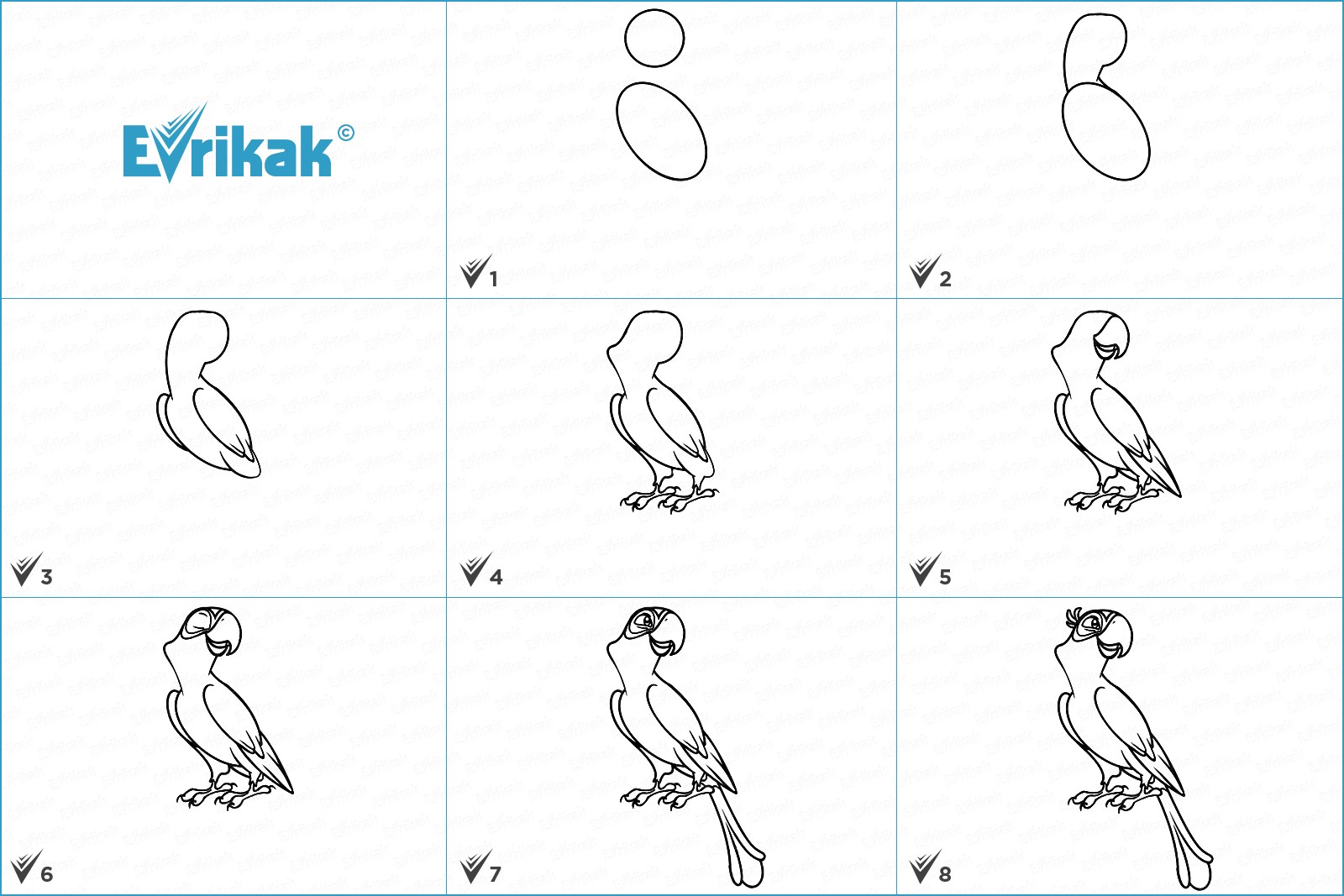 Схема рисования попугая для детей