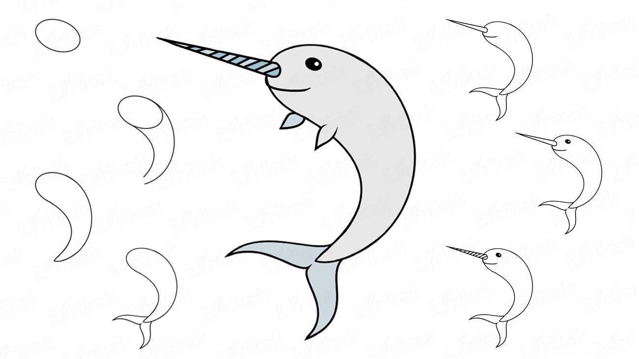Как поэтапно нарисовать нарвала — крупное морское животное