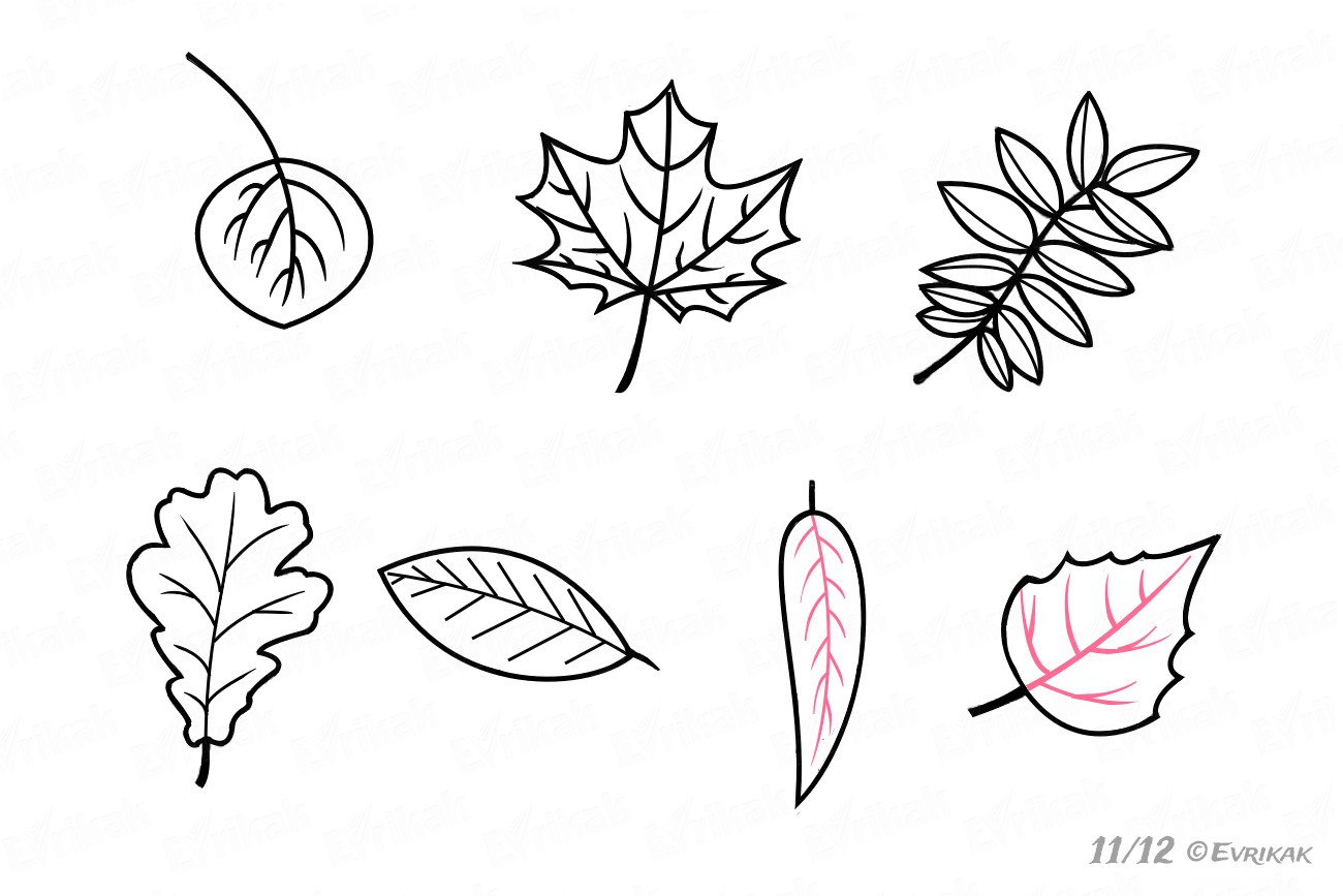 Осенние листья для срисовки